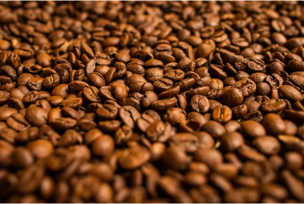 Imagem de compartilhamento para o artigo Conab aponta produção de 58 milhões de sacas de café na safra 2024/25 da MS Todo dia